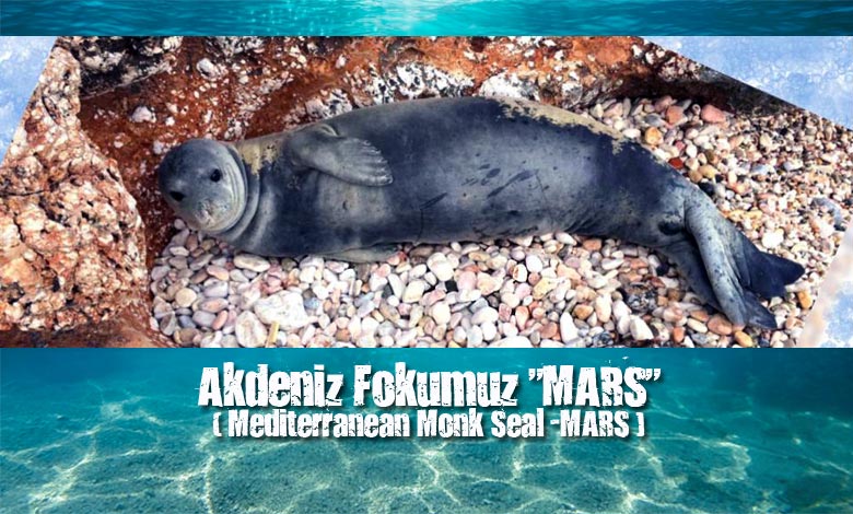 Çocuk Uzay Gücü (8) “Evlat Fok MARS”